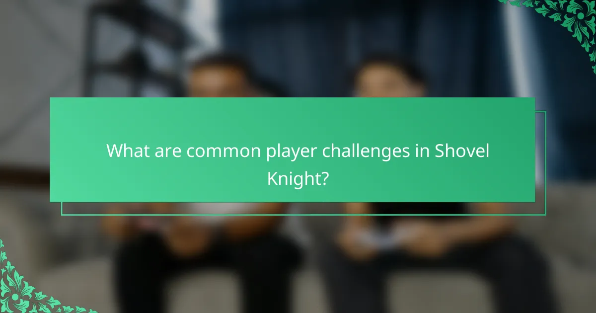 What are common player challenges in Shovel Knight?